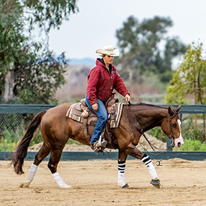 October Western Show GC
