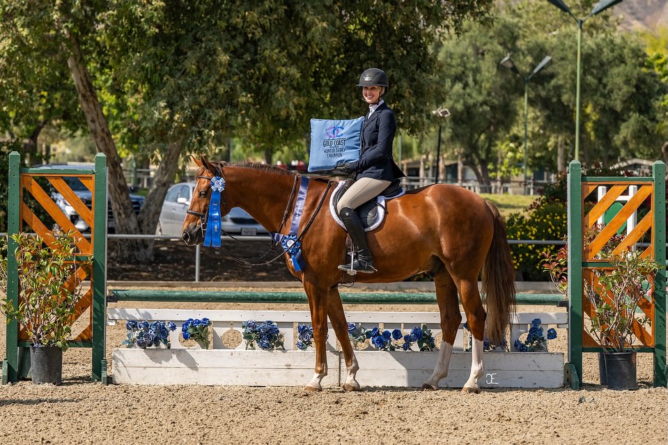 Gold Coast Horse Show