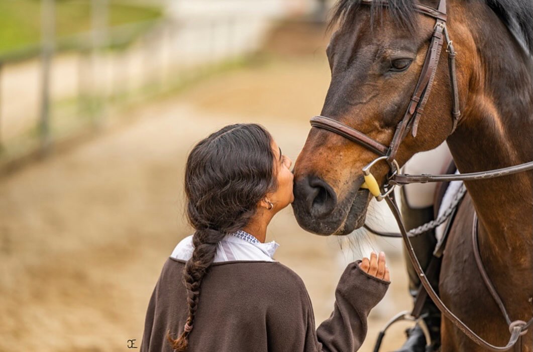 Gold Coast Horse Show
