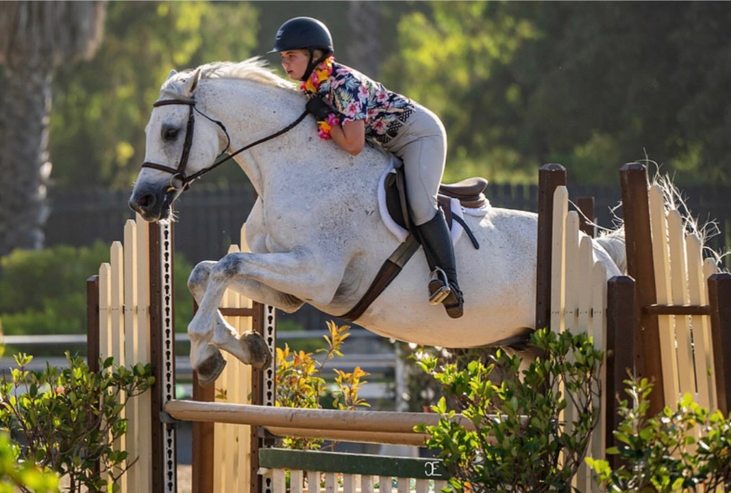 Gold Coast Horse Show