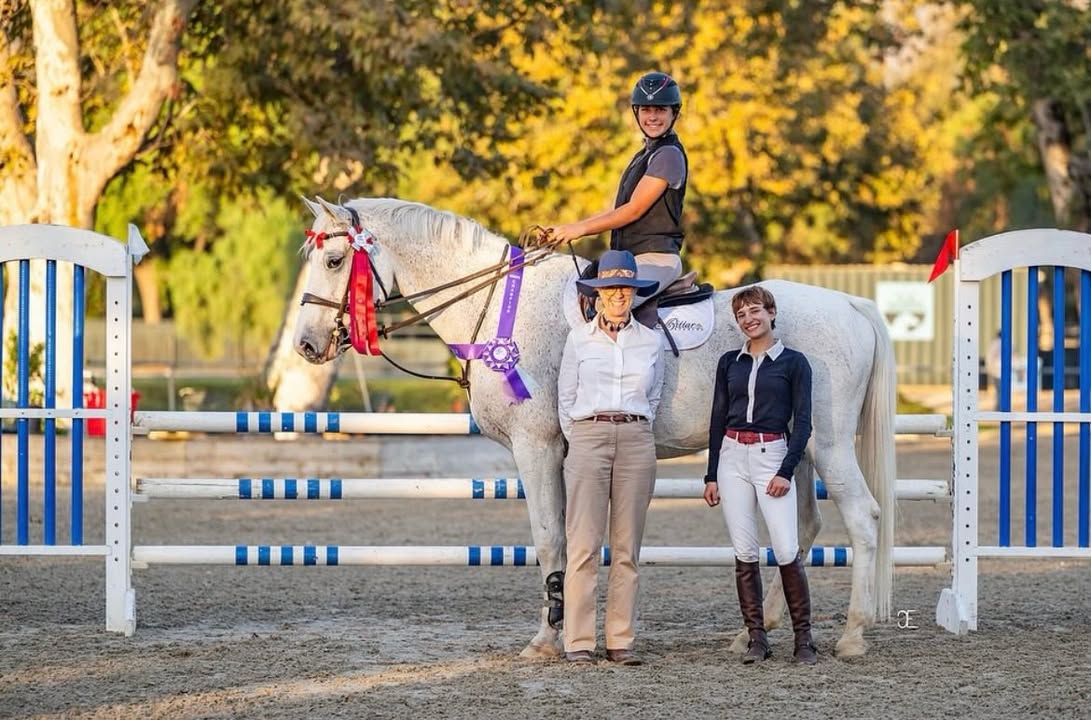Gold Coast Horse Show
